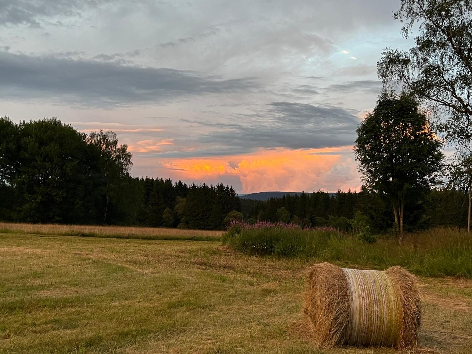 An Der Liesel Wiese Johanngeorgenstadt Exteriér fotografie